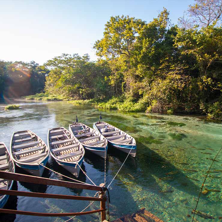 Barcos ancorados em um rio de águas cristalinas, cercado por vegetação exuberante e peixes visíveis na água