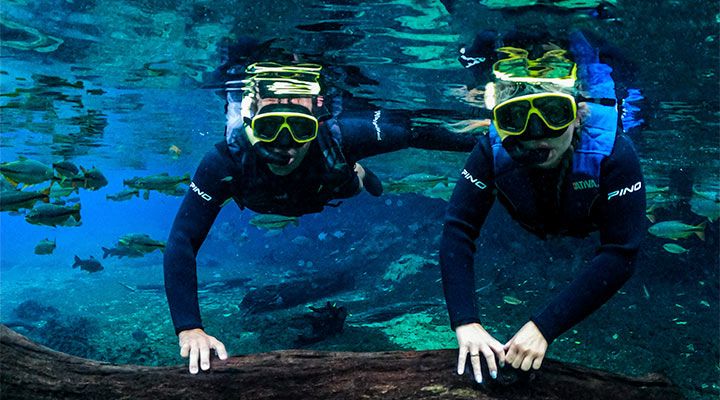 Férias de Julho 2025 em Bonito: Natureza cristalina e cinema sul-americano no coração do Brasil