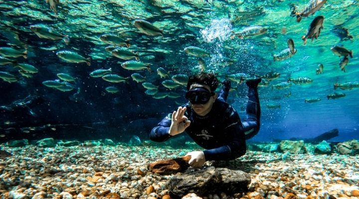 Bonito MS em novembro: como é o clima, o que fazer e dicas para planejar