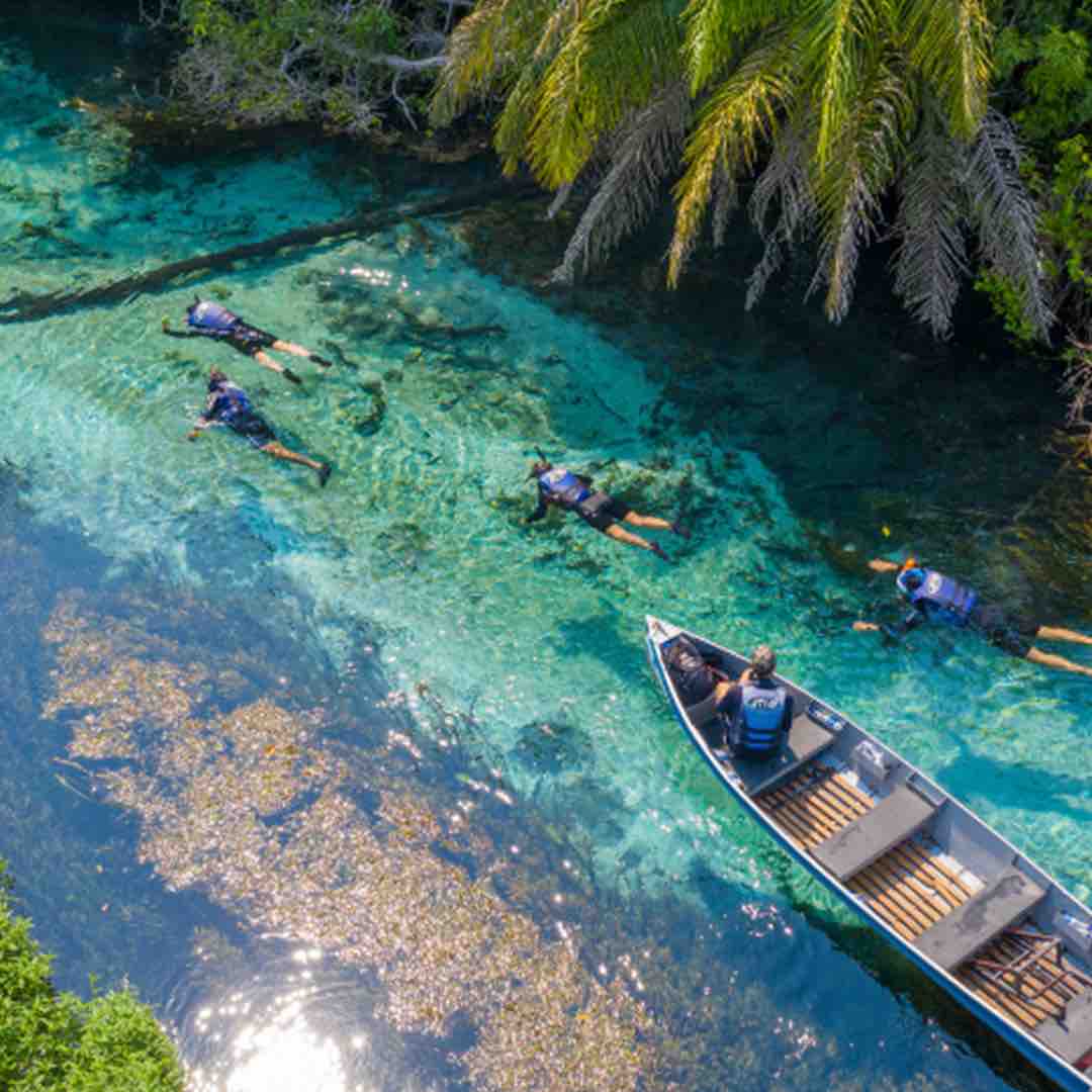 O que fazer em Bonito nas férias: passeios mais procurados para aproveitar ao máximo