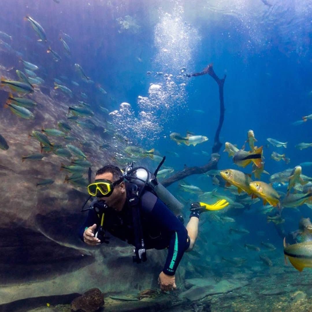 Bóia de mergulho com praticante explorando um cenário subaquático de rios ou oceanos, rodeado por peixes coloridos e uma formação rochosa ao fundo.